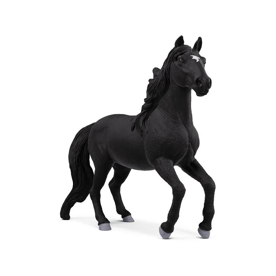 14918 Stallone lusitano