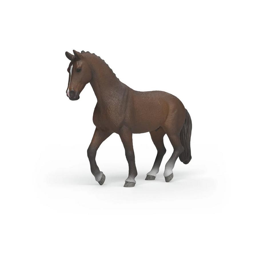 14919 Castrone KWPN