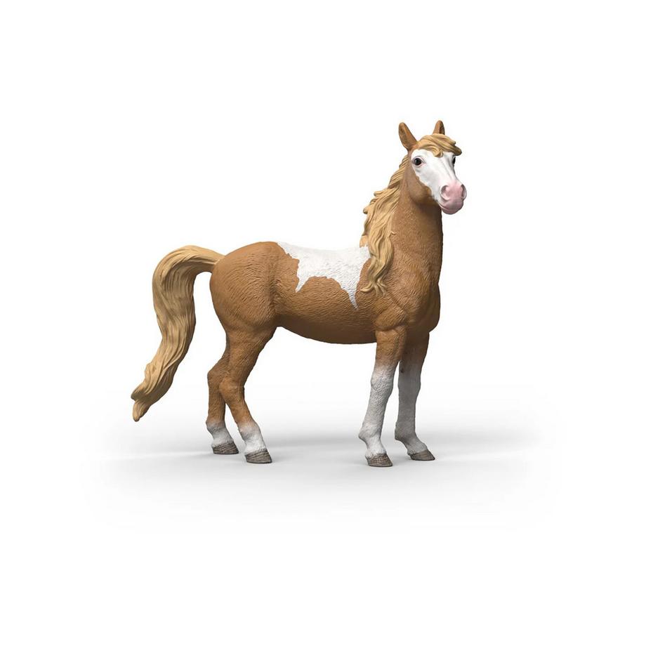 14920 Giumenta mustang