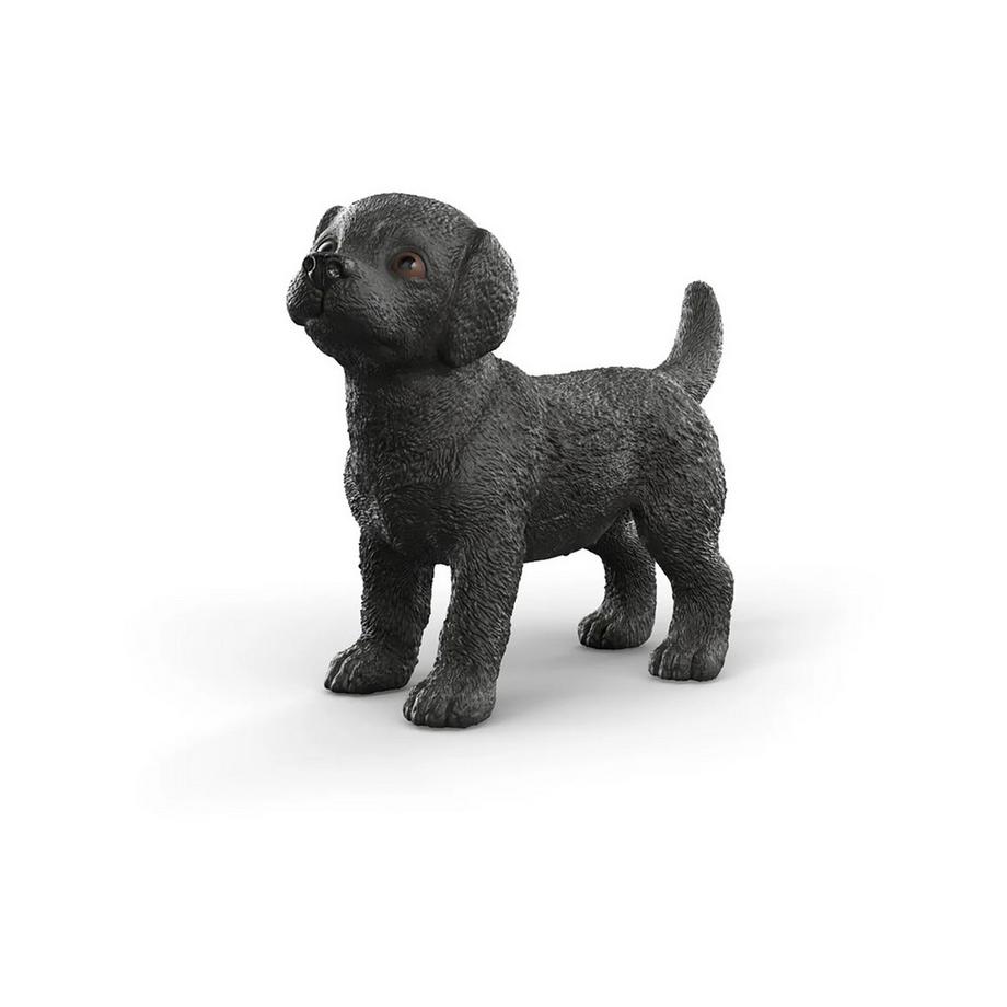 14922 Cucciolo labrador nero