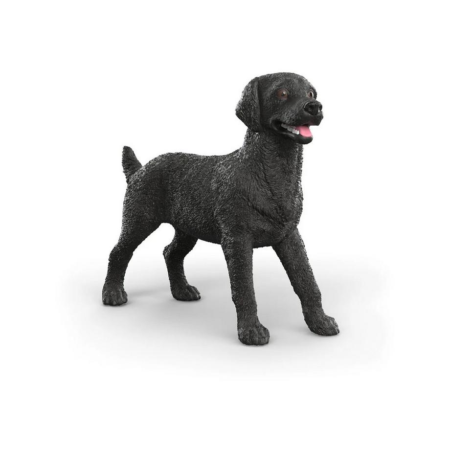 14923 Cagna labrador nera