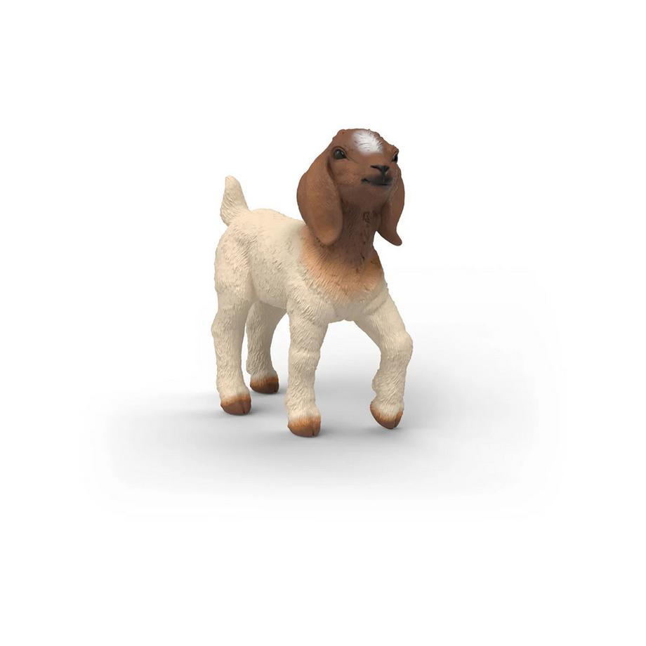 14930 Capretto boer