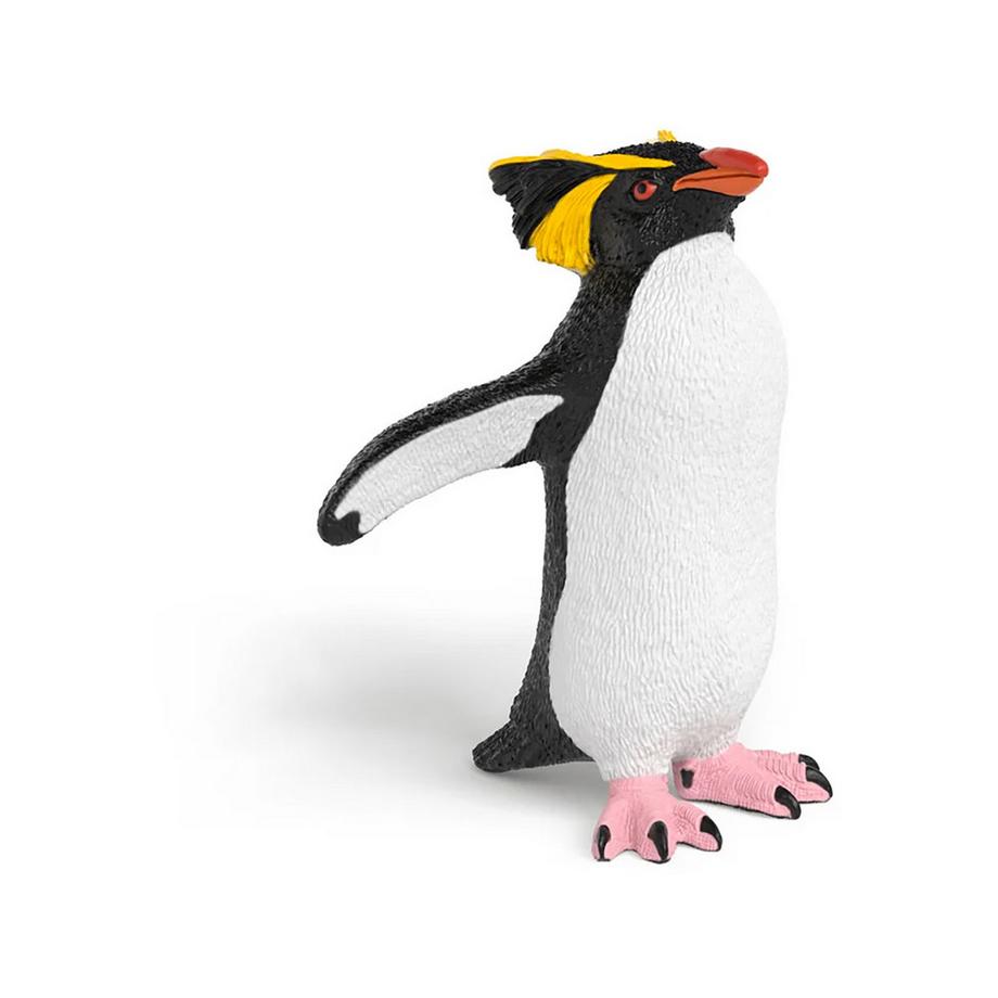 14932 Pinguino saltarocce