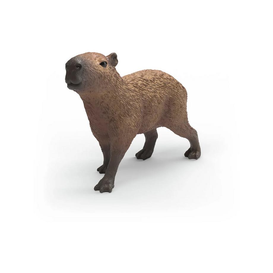 14934 Capybara