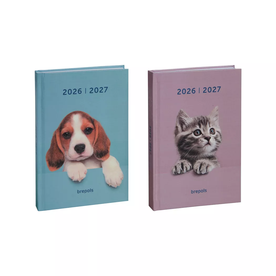 - Schüleragenda 2026-2027, 11.5X16.9CM, Sortierte Farben