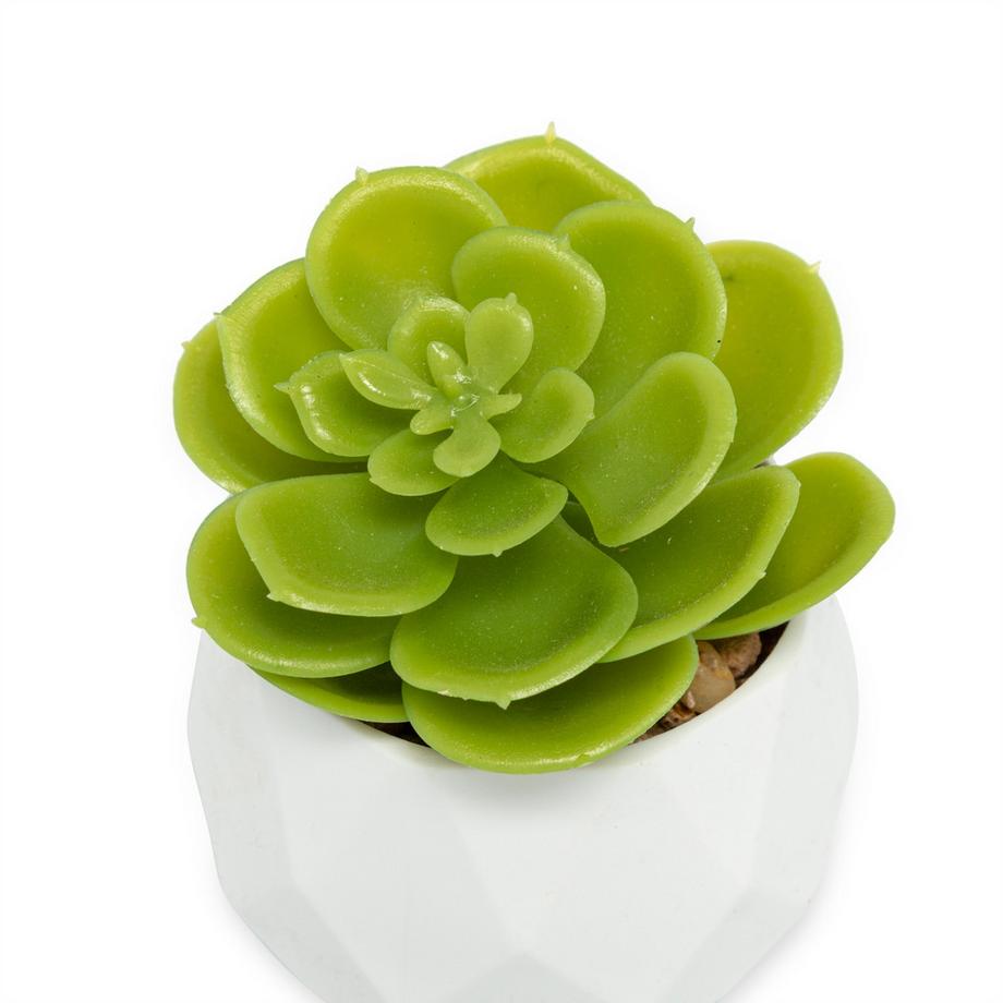 Manor Papeterie No Label Fleur artificielle  