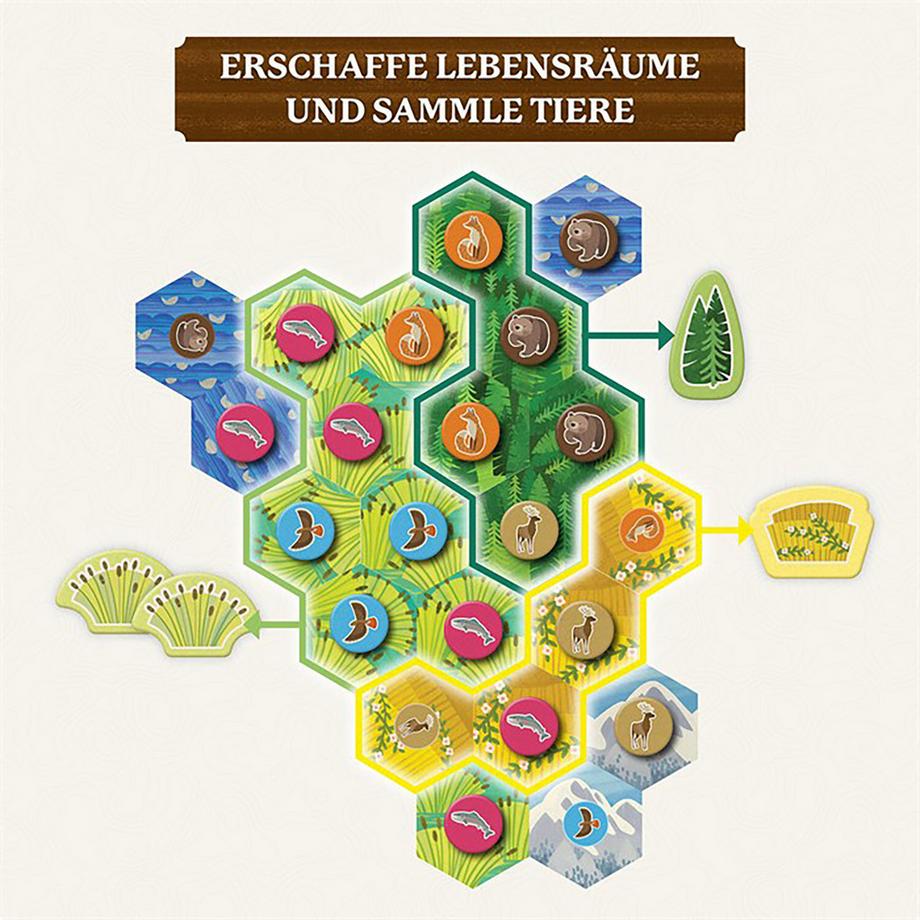 Kosmos  Cascadia Junior, allemand 