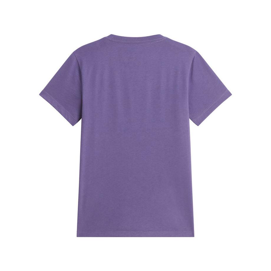 THE NORTH FACE W EVOLUTION SIMPLE DOME SLM SHORT SLEEVE T-shirt 