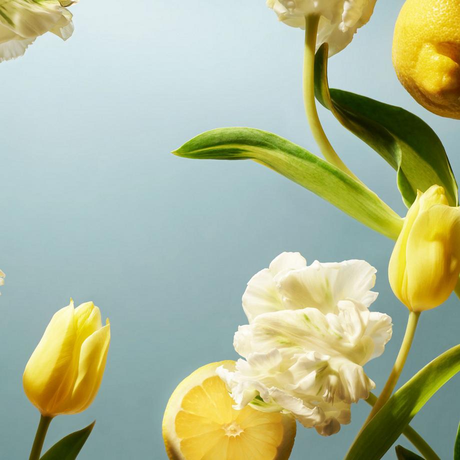 RITUALS Fragrance Sticks, Amsterdam Collection  