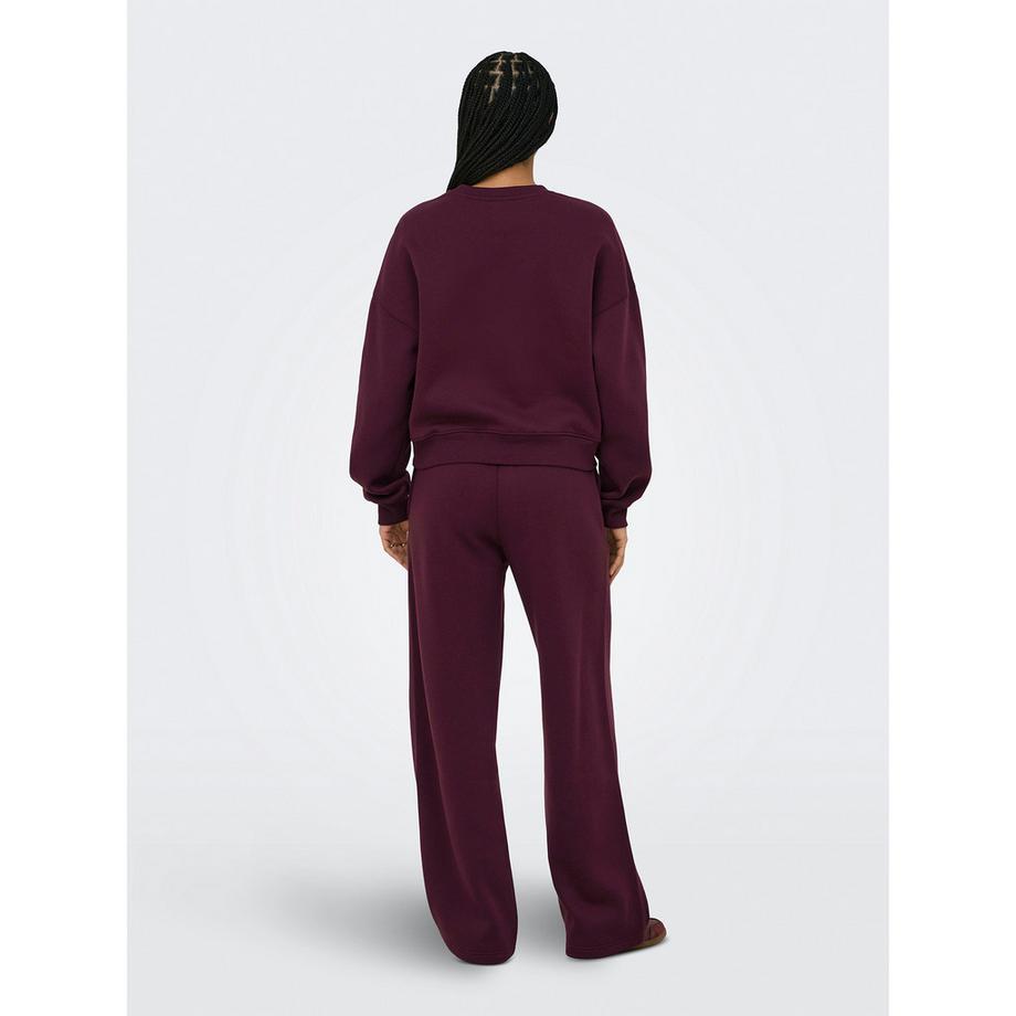 Only Lingerie BEST L/S CREW NECK SWEAT Felpa  