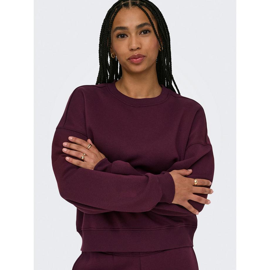 Only Lingerie BEST L/S CREW NECK SWEAT Felpa  