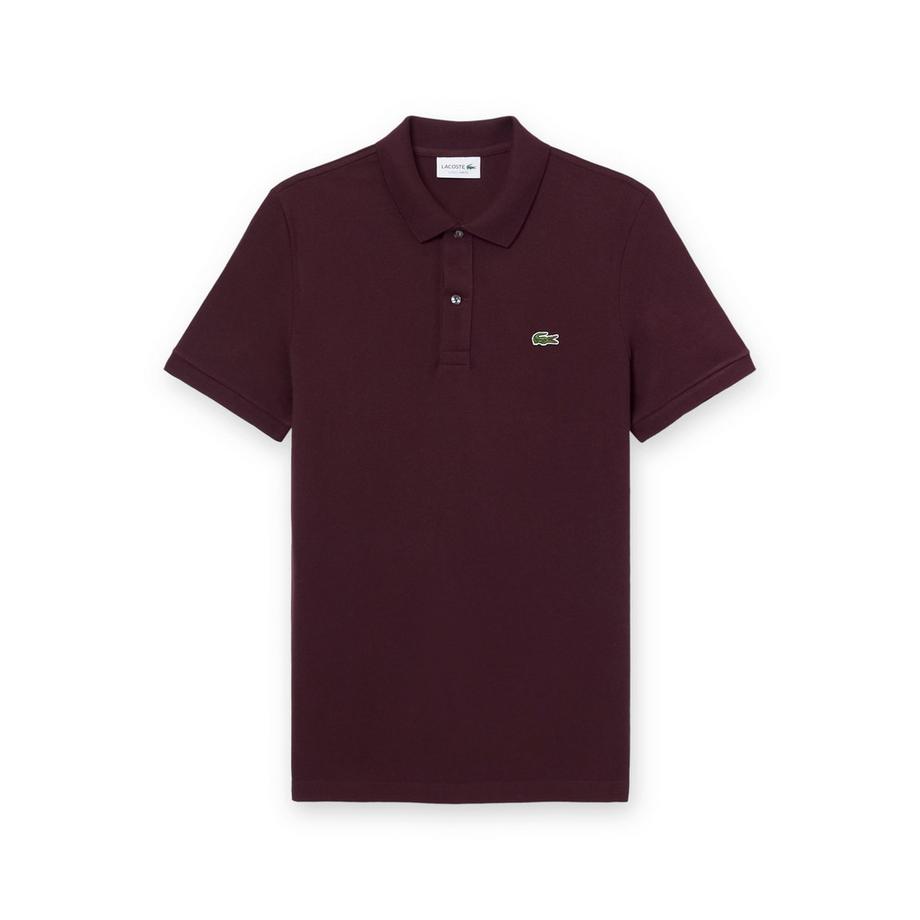 Polo, maniche corte