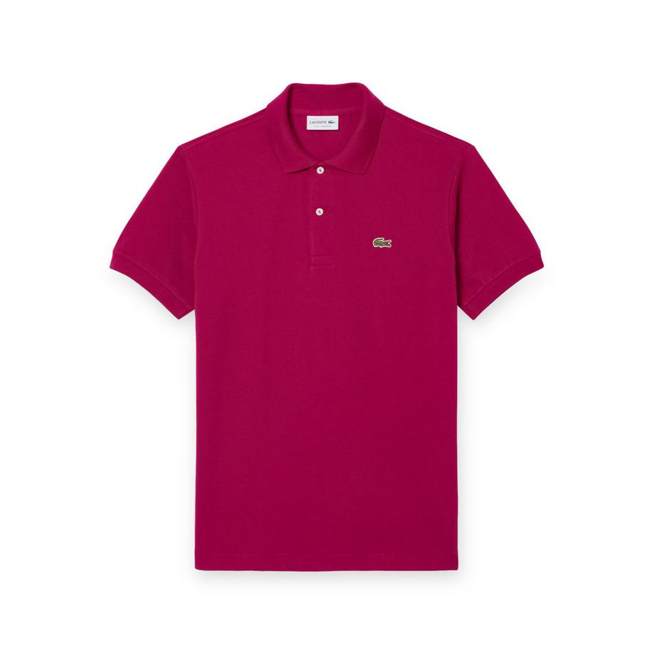 Polo, maniche corte
