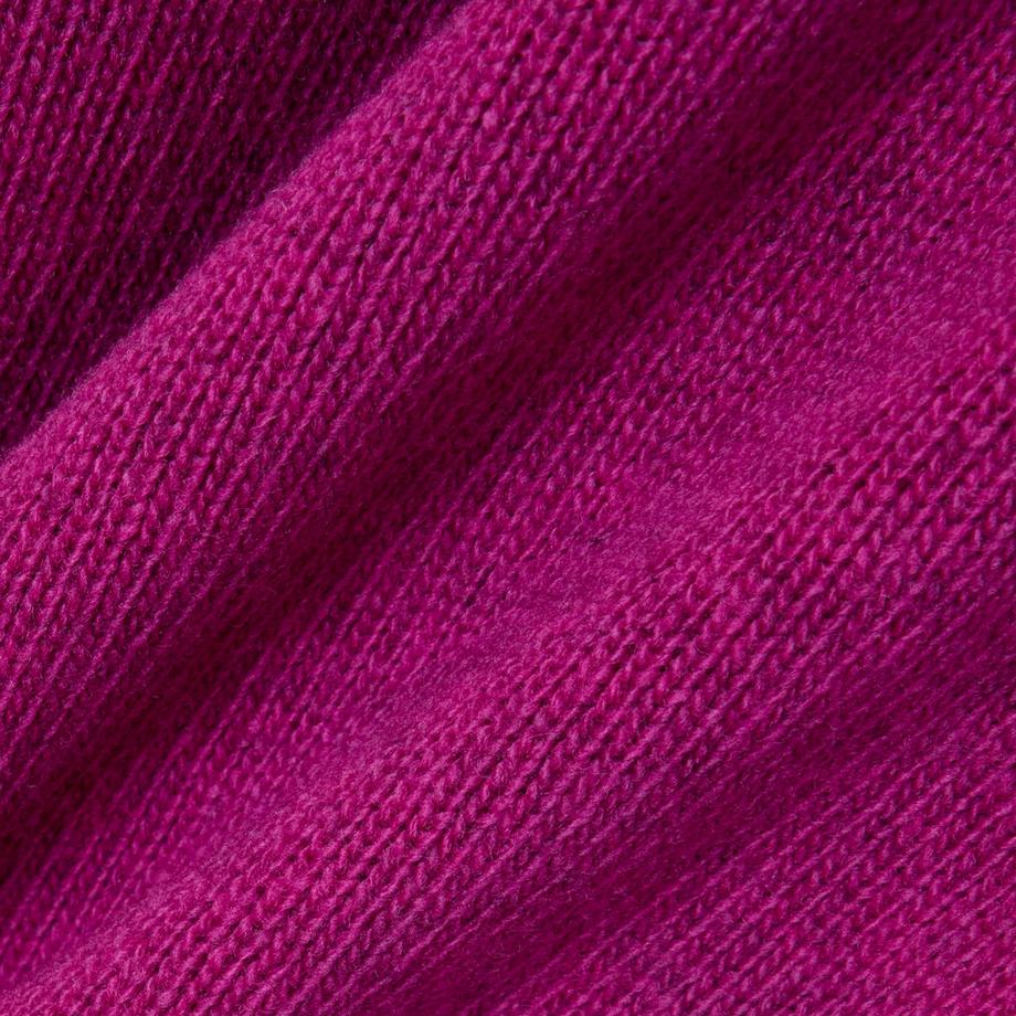 LACOSTE Pullover en laine mérinos  
