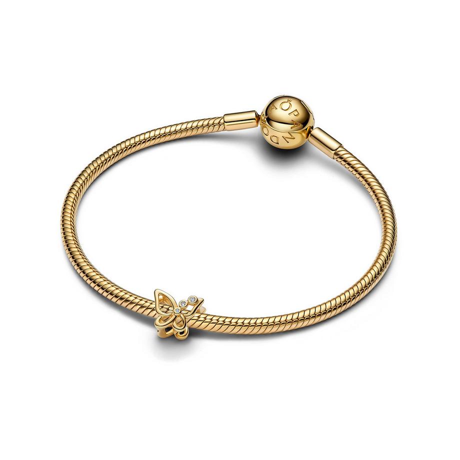 PANDORA Pandora Moments Charm 