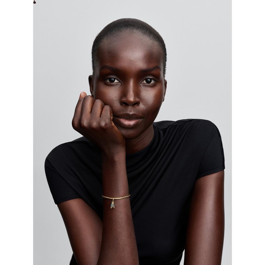 PANDORA Pandora Moments Charm 