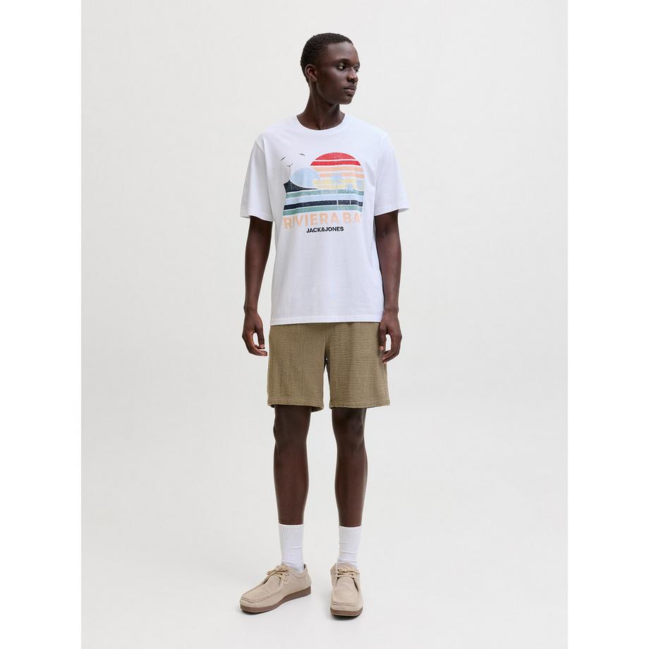 JACK & JONES Jaidan Coba Stripe Jog Shorts  
