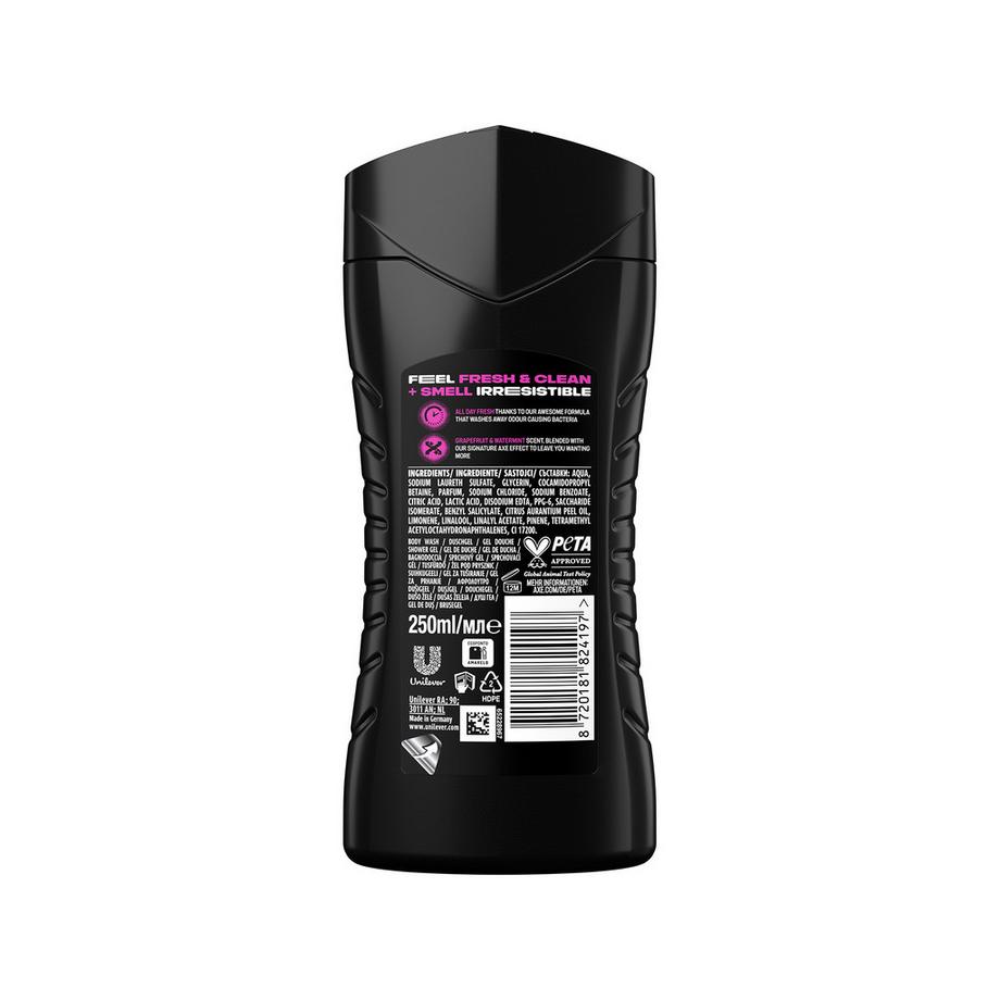 AXE  3‑in‑1 Gel Douche & Shampoo Number 10  