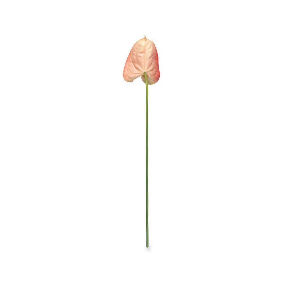 Manor Home Kunstblumen Anthurium 