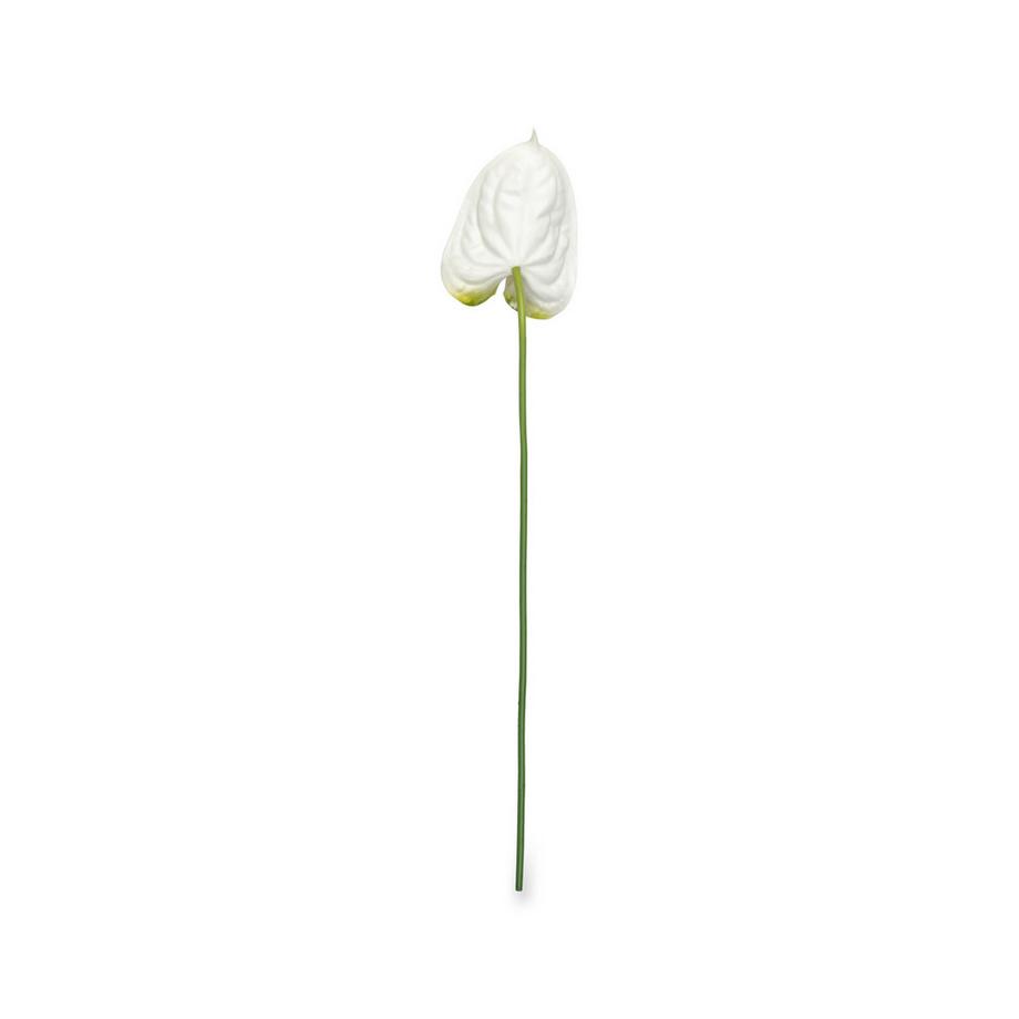 Manor Fleurs artificielles Anthurium 
