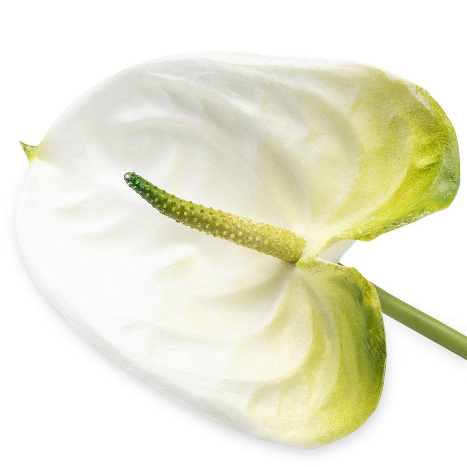 Manor Fleurs artificielles Anthurium 