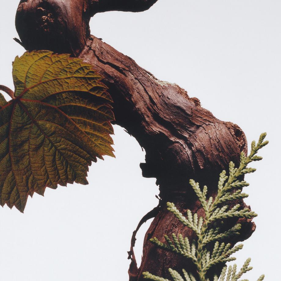 Jo Malone London Cypress & Grapevine Car Diffuser Refill  