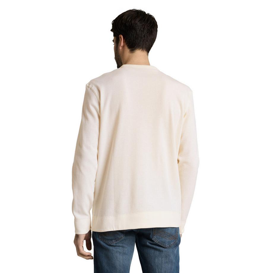 TOM TAILOR Langarm T-Shirt  