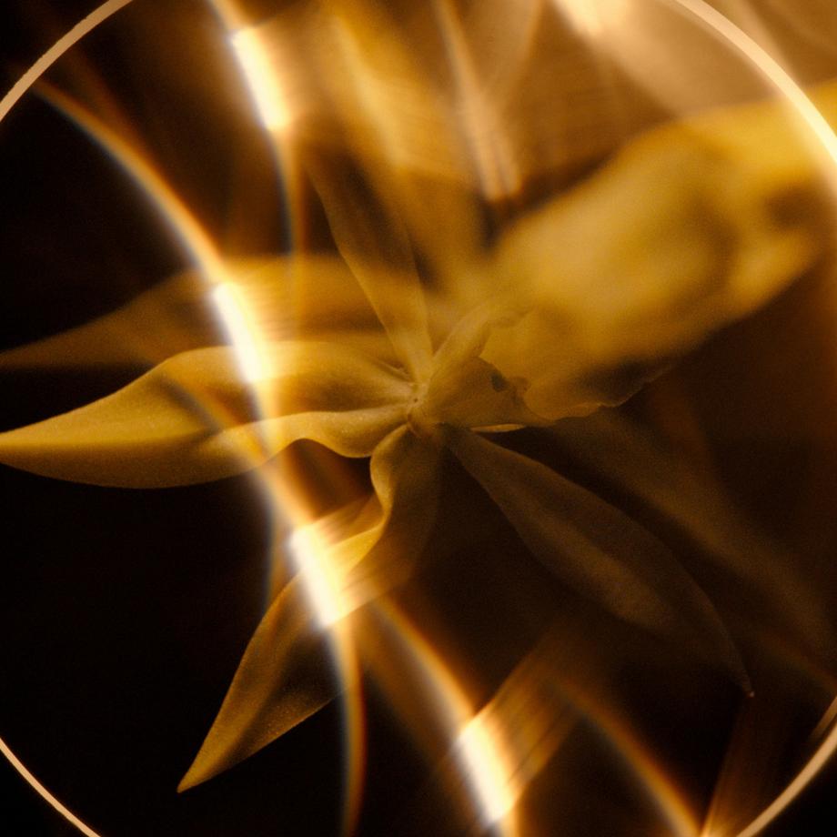 CHANEL SUBLIMAGE LE BAUME ULTIMATIVER BALSAM: REGENERIERT UND VERWÖHNT 