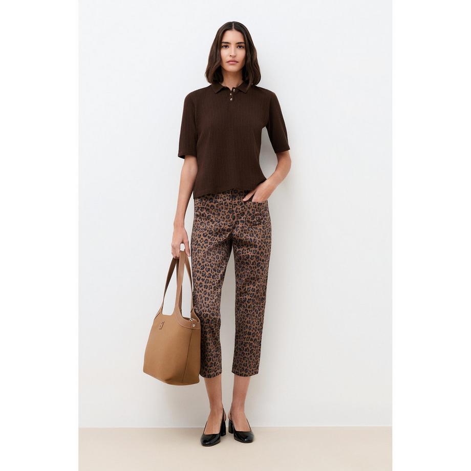 Caroll T-shirt Manches Courtes  