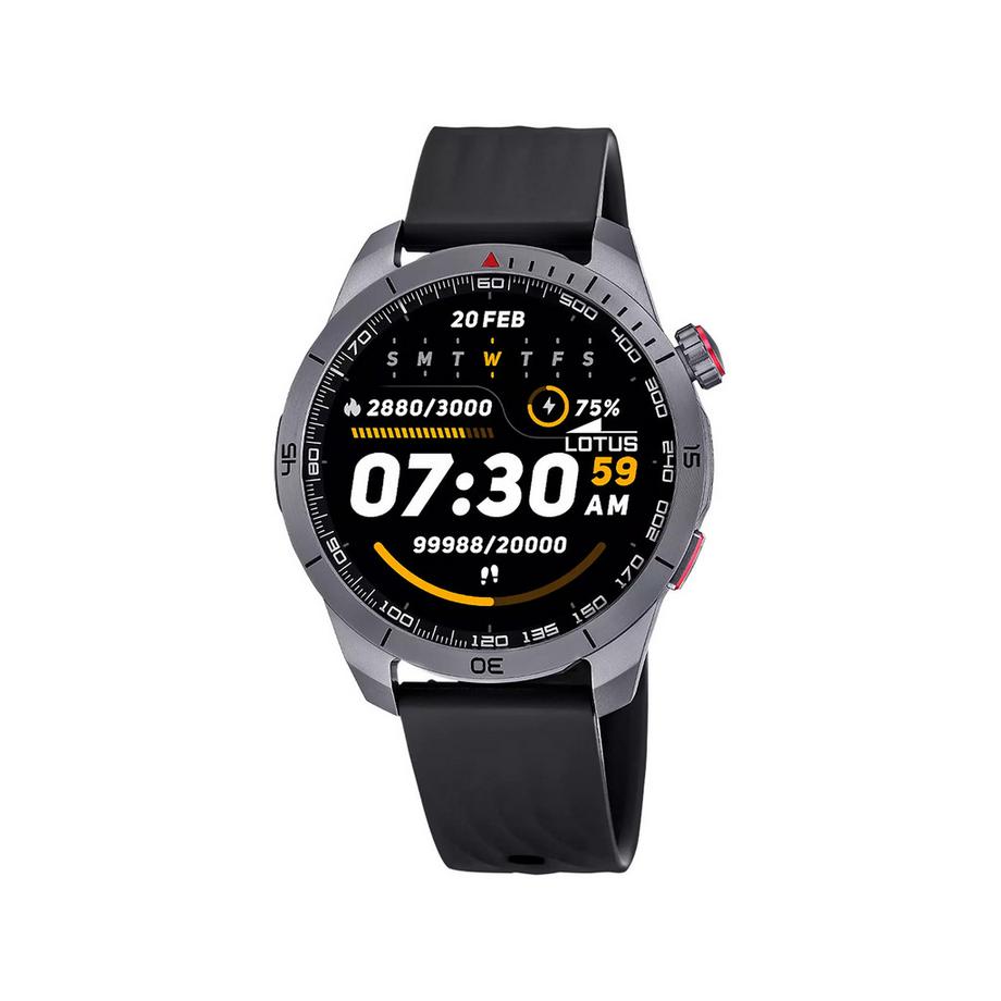 Smartwatch Display