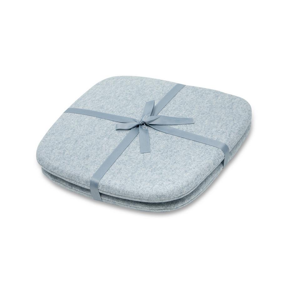Coussins d'assise, lot de 2