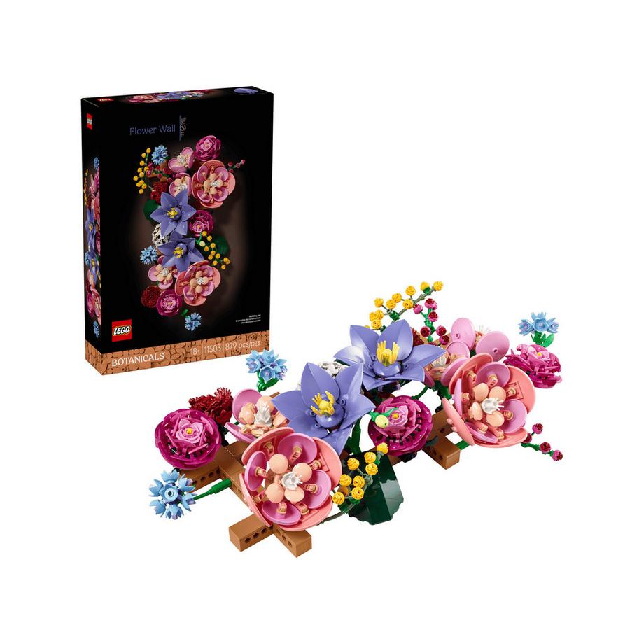 11503 Blumen an der Wand