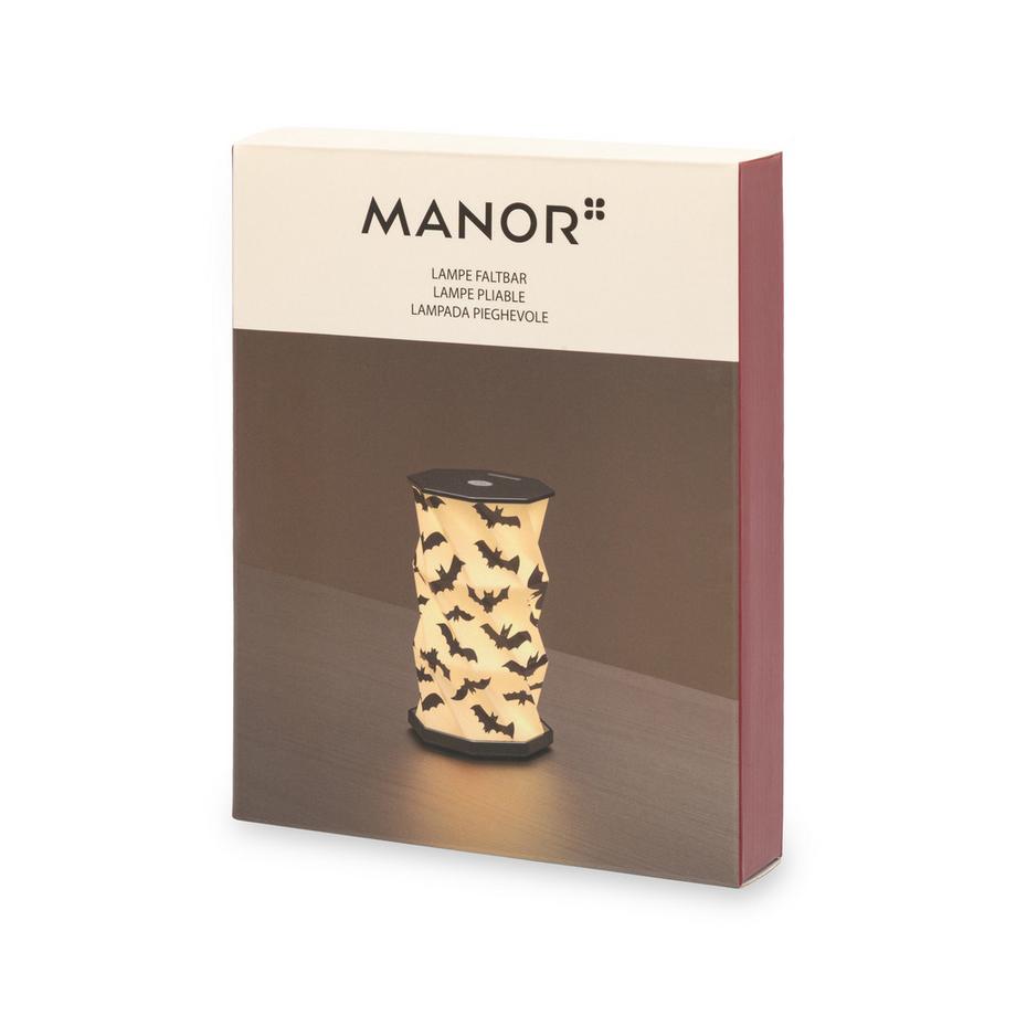 Manor Papeterie No Label Lampe Batte 
