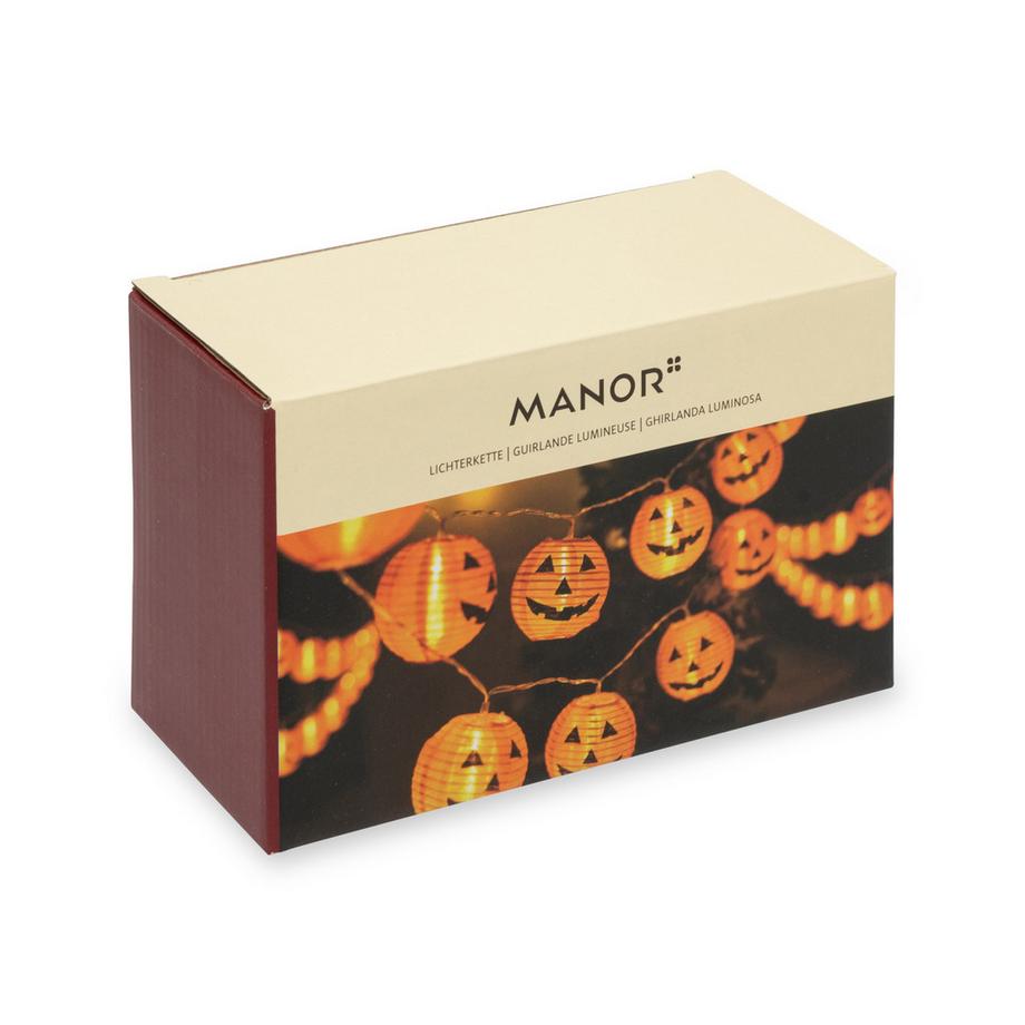 Manor Papeterie No Label Guirlande lumineuse esprit 
