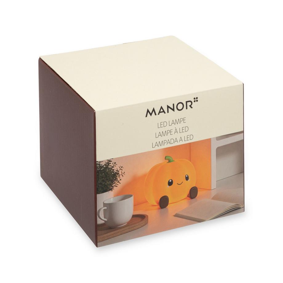 Manor Papeterie No Label Article de décoration LED courge 