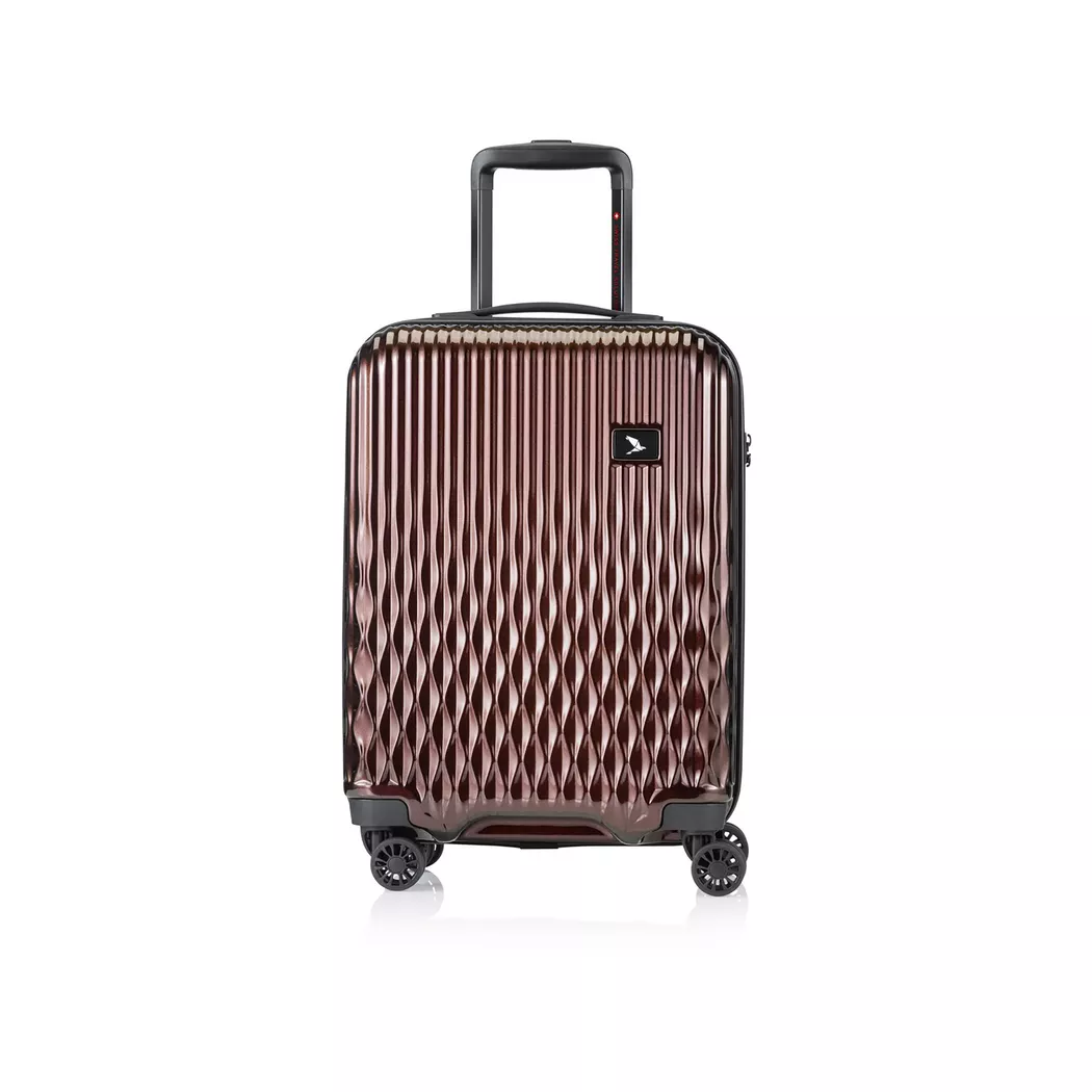 Pack Easy 52 CM Hardside Spinner Suitcase Brown
