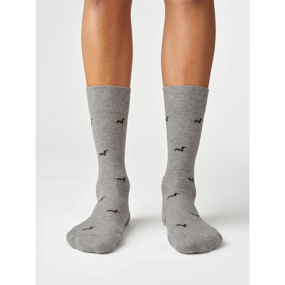 von Jungfeld Signature Icons Mini A Mini Dachshund Heather Grey Chaussettes Hauteur Mollet  