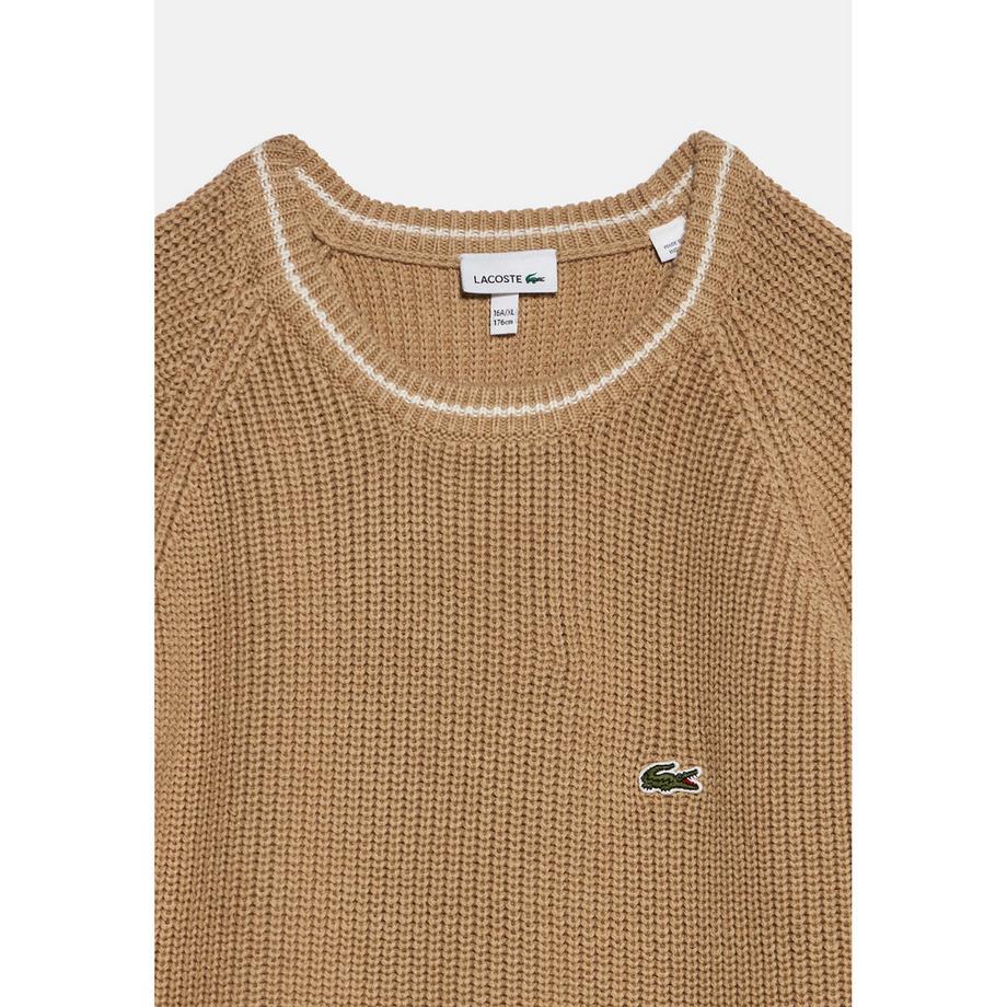 LACOSTE  Sweatshirt 