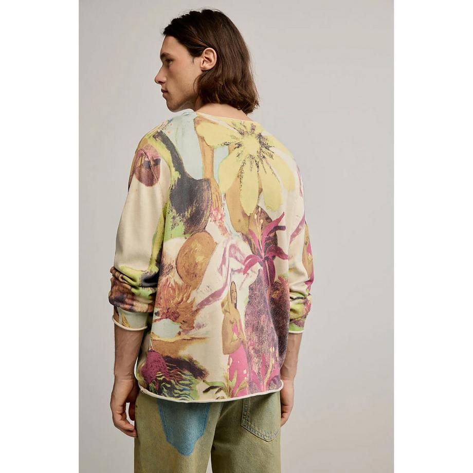 Desigual  Pullover 