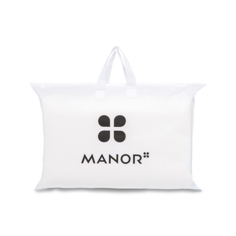 Manor   