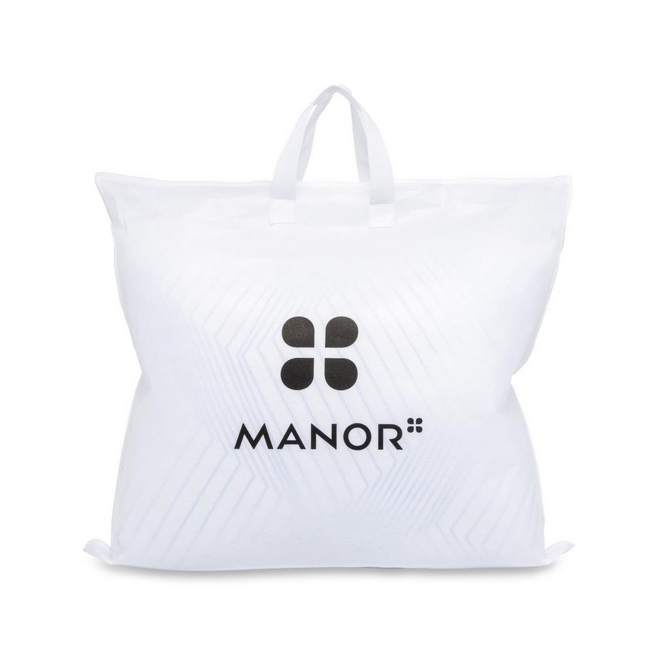 Manor   