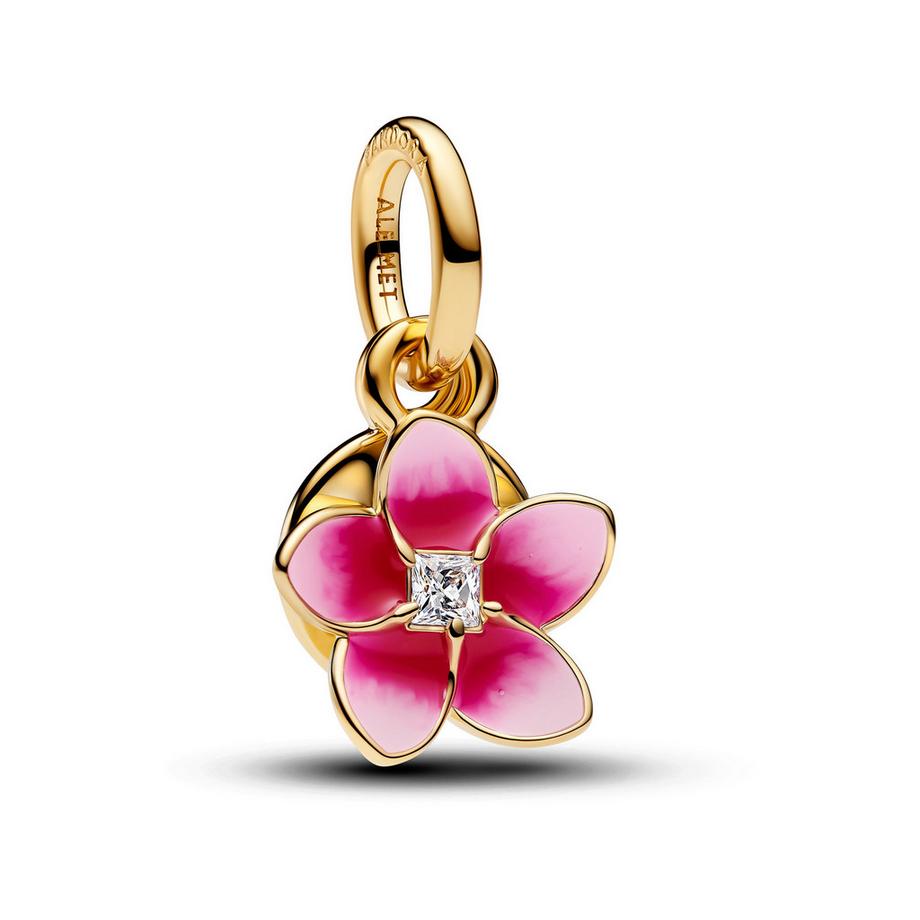 Charm