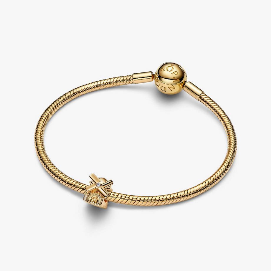 PANDORA Pandora Moments Charm 