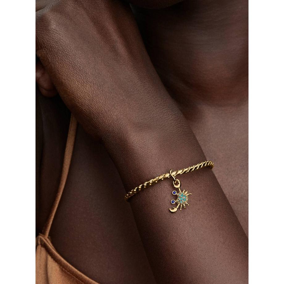 PANDORA Pandora Moments Charm 