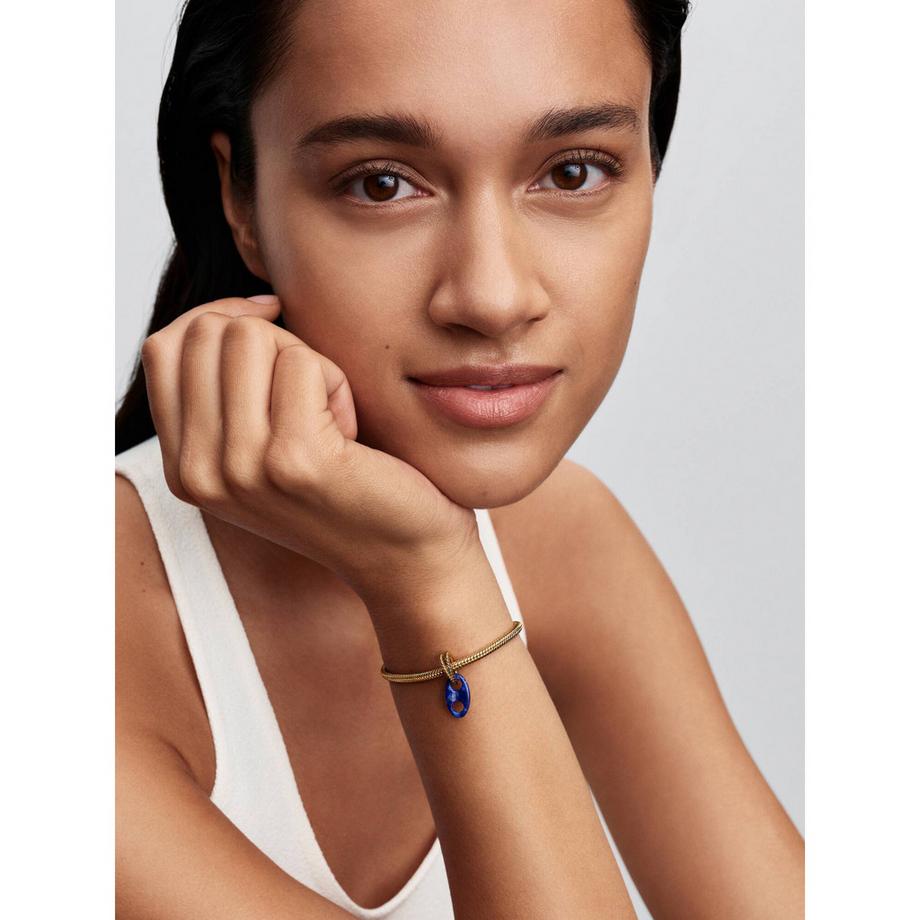 PANDORA Pandora Moments Charm 