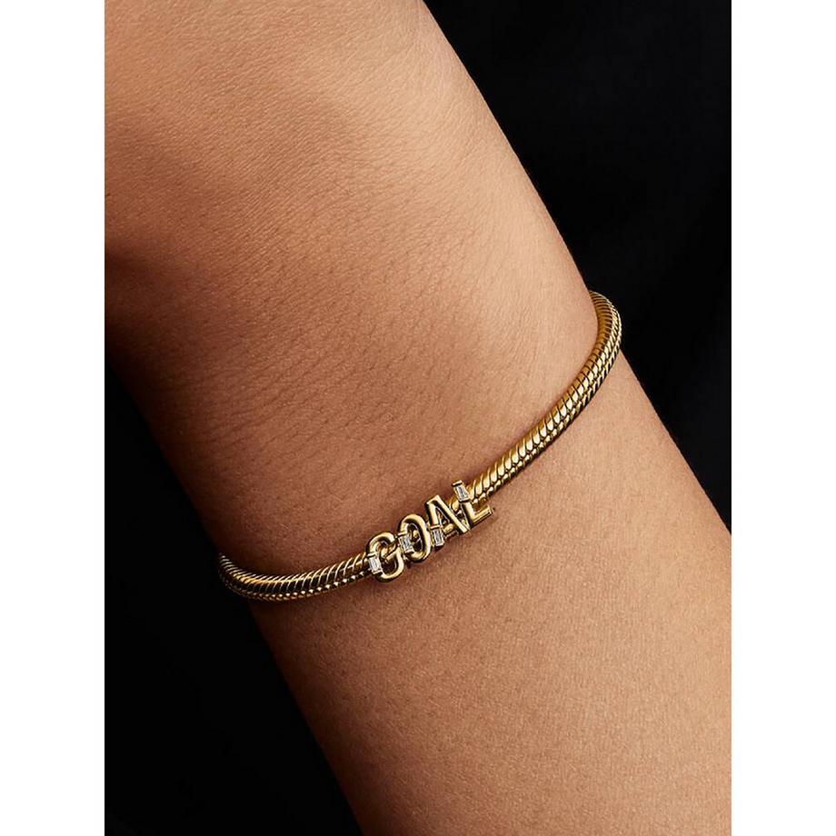 PANDORA Pandora Moments Charm 