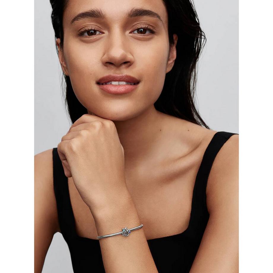 PANDORA Pandora Moments Charm 
