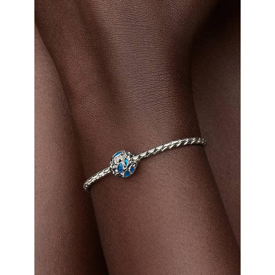 PANDORA Pandora Moments Charm 