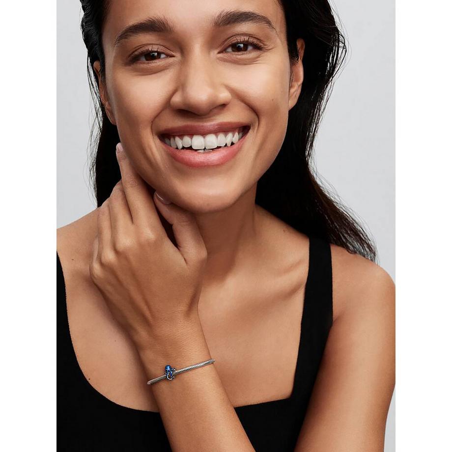 PANDORA Pandora Moments Charm 