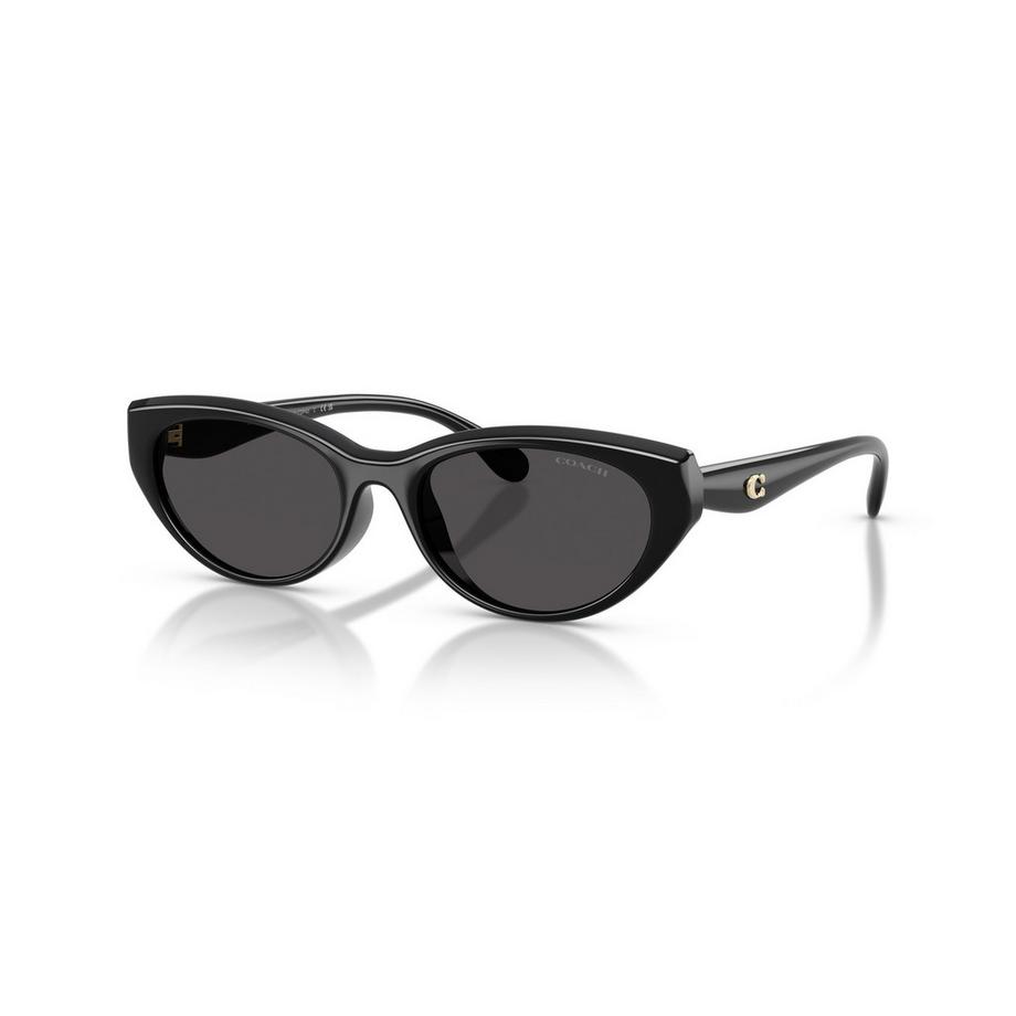 COACH COACH Sonnenbrille Cat Eye Sonnenbrille  